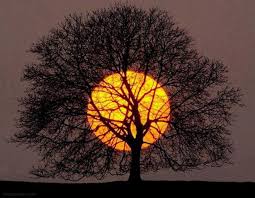 An image of a sunset in Nairobi National Park